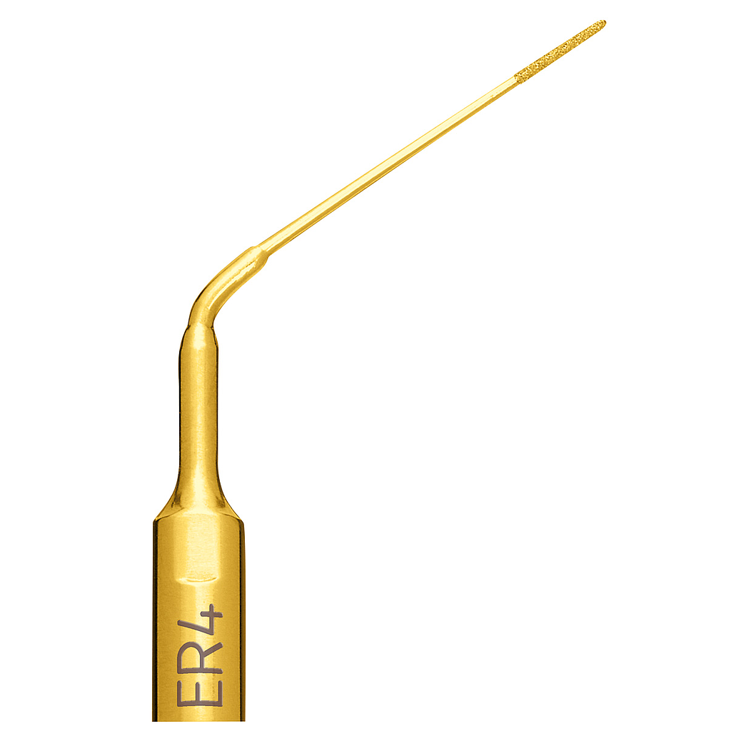 Insert Mectron ENDO REVISON ER4