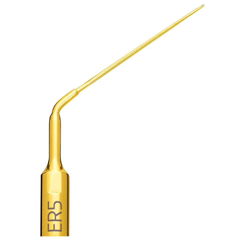 Insert Mectron ENDO REVISON ER5