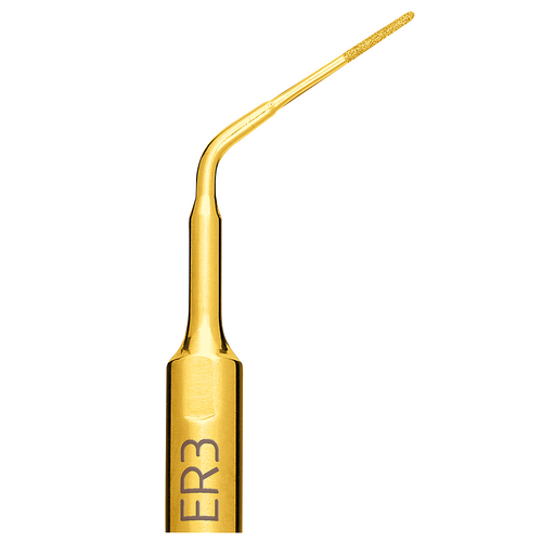 [03450003-001] Insert Mectron ENDO REVISON ER3
